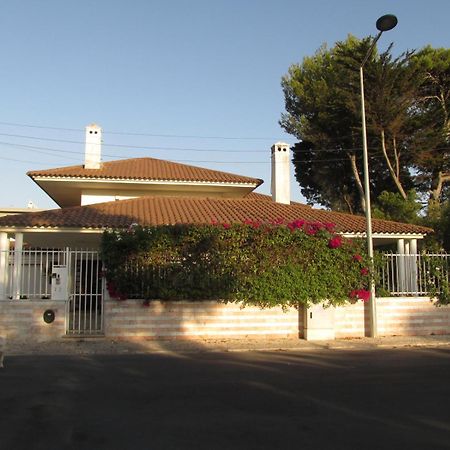 Go Pt - Private Challet With Swimming Pool And Garden Parede Esterno foto