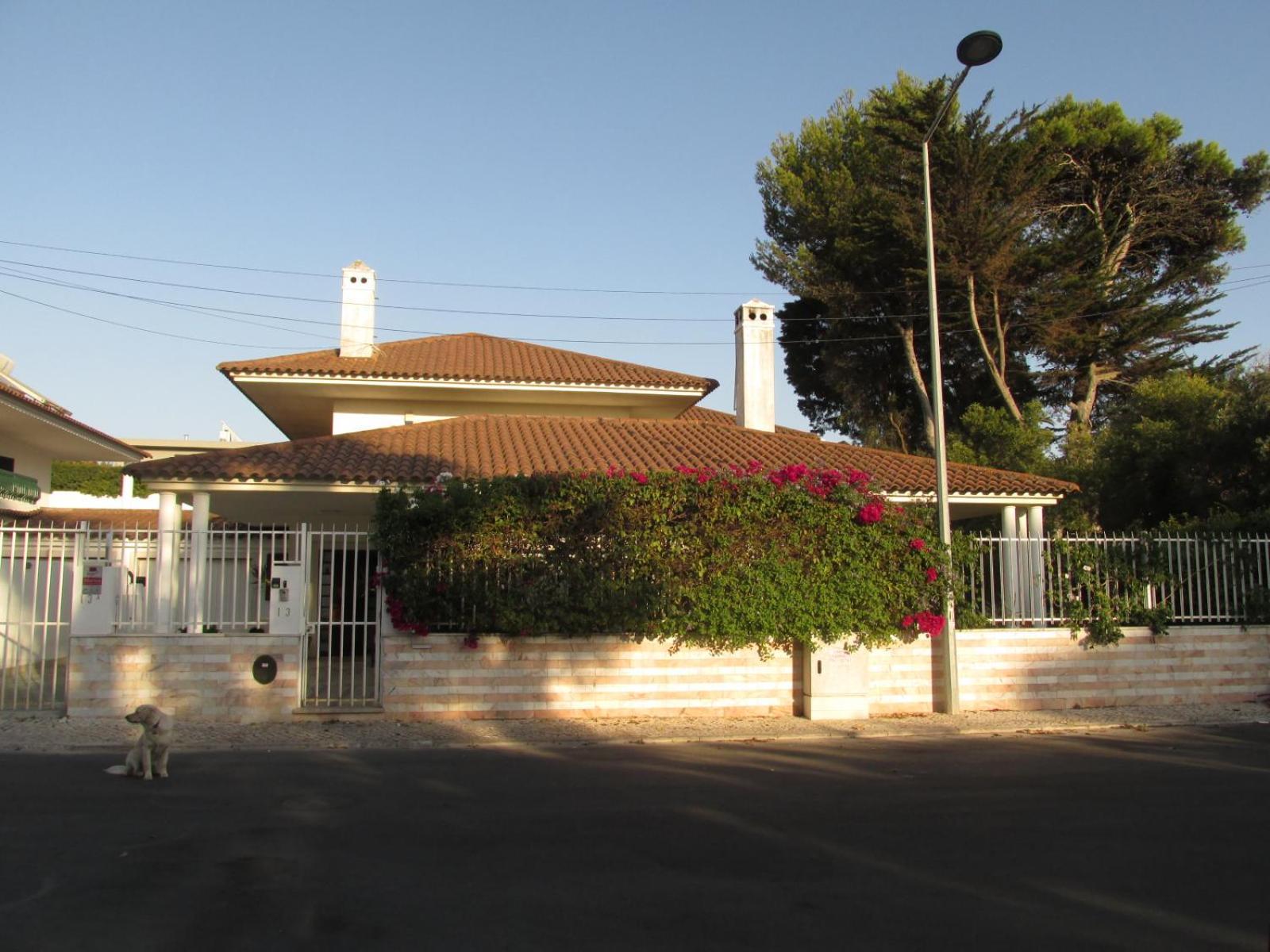 Go Pt - Private Challet With Swimming Pool And Garden Parede Esterno foto